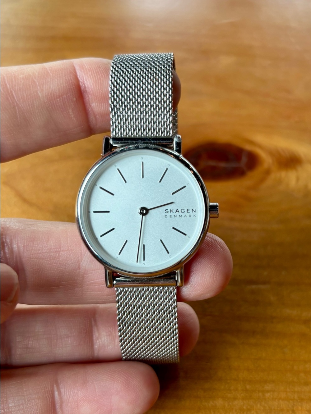 Skagen Silver Minimalist Mesh Watch